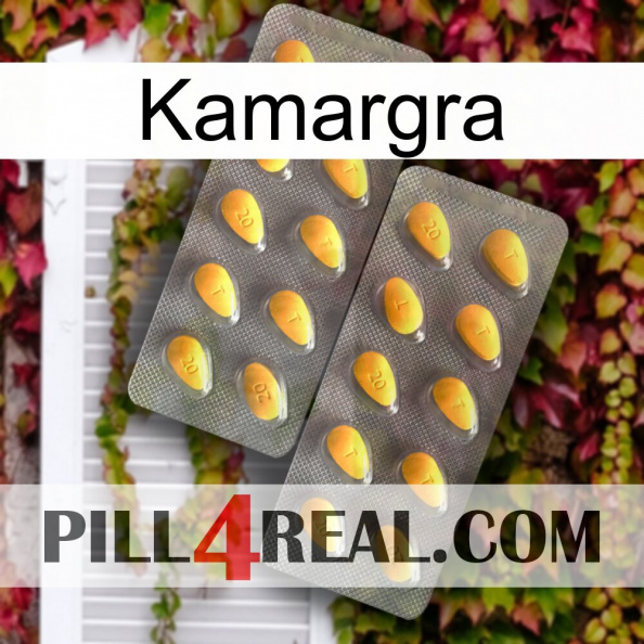 Kamargra cialis2.jpg